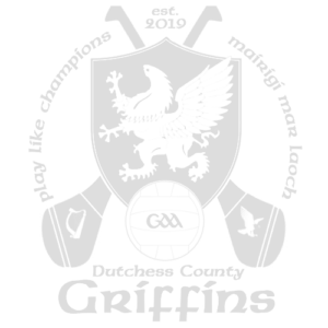 Dutchess County GAA Gaelic Football Griffins | Testimonials, A Great Night Out Entertainment